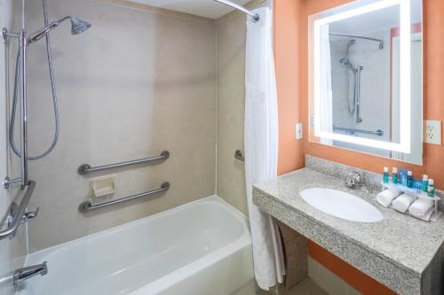 bagno con vasca, lavandino e doccia di Holiday Inn Express & Suites Atlanta NE- Duluth, an IHG Hotel a Duluth