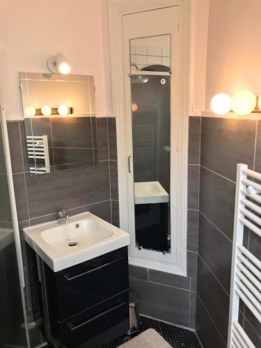 une salle de bain avec un lavabo et un miroir dans l'établissement Bel Appartement Bagneres De Luchon Centre, à Luchon