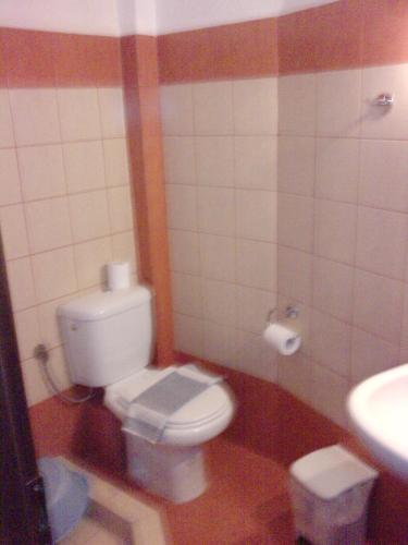 a bathroom with a toilet and a sink at Guesthouse Lina in Kato Loutraki