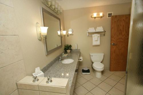 een badkamer met een wastafel, een toilet en een spiegel bij Holiday Inn Riverton-Convention Center, an IHG Hotel in Riverton