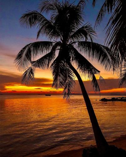 a palm tree on the beach at sunset at Sibaja Palms Sunset Beach Luxury Apartments in Taling Ngam Beach