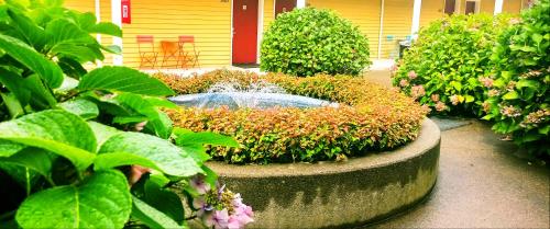 a garden with a fountain and some bushes and flowers at GuestHouse Inn Enumclaw in Enumclaw