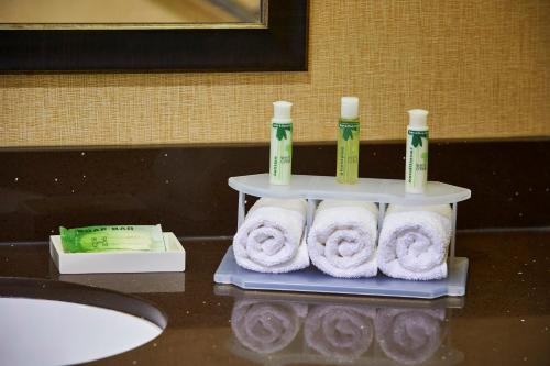 półka z trzema rolkami papieru toaletowego i ręczników w obiekcie Holiday Inn Express and Suites Timmins, an IHG Hotel w mieście Timmins