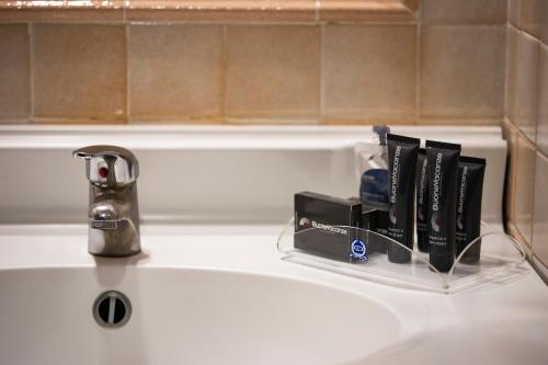 a sink with a toothbrush holder with books on it at BV Hotel Oly in Rome