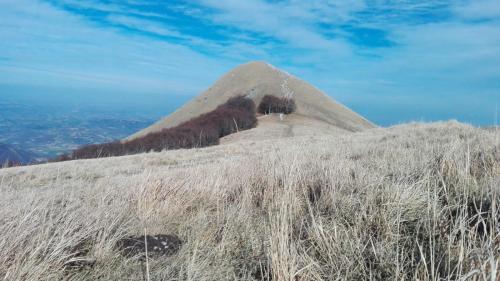 a mountain on top of a grass covered hill at HOTEL B&B RESORT Fonte La Castellana in Sarnano
