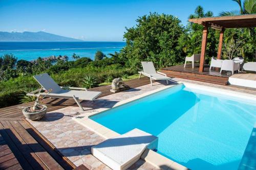 ein Pool mit Stühlen und ein Hund daneben in der Unterkunft Villa Ora in Teavaro