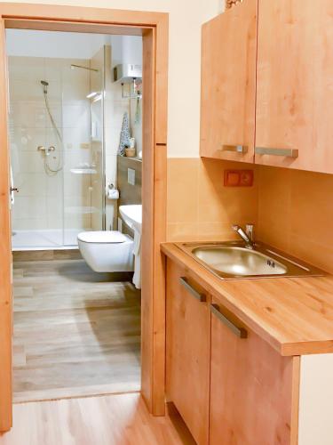 a bathroom with a sink and a toilet and a shower at Golden Wood Apartments in Plzeň