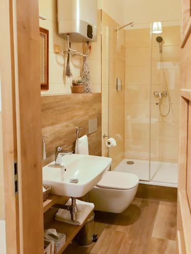 a bathroom with a sink and a toilet and a shower at Golden Wood Apartments in Plzeň