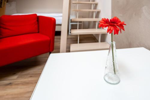 a red chair and a vase with a red flower on a table at Penzion Dena in Jihlava