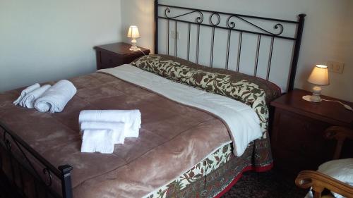 een slaapkamer met een bed met handdoeken erop bij Campo alle More in Cecina