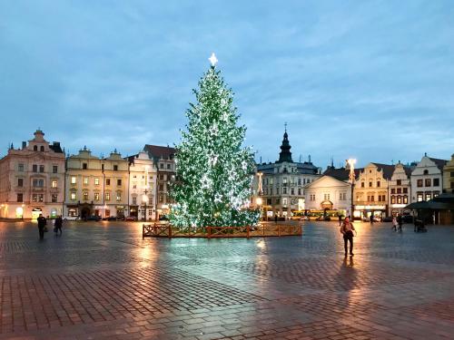 a christmas tree in the middle of a plaza at Golden Wood Apartments in Plzeň
