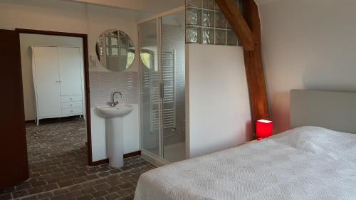羅亞爾河畔普伊的住宿－Le P'tit Pouilly du Val de Loire en Bourgogne !，浴室配有白色水槽和淋浴。
