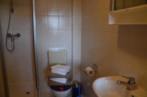 een badkamer met een douche, een toilet en een wastafel bij Kleiner-Burgblick in Leisnig