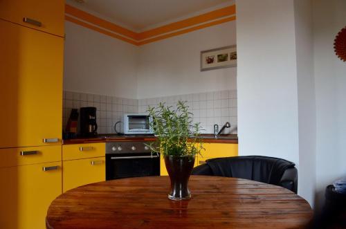 een keuken met een houten tafel met een plant erop bij Kleiner-Burgblick in Leisnig