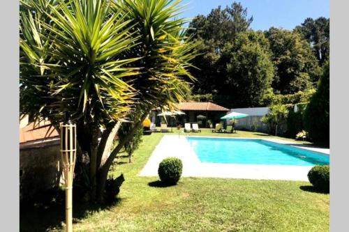 a palm tree next to a swimming pool at Holidays “Villa Familia Silva” in Ribeiradio