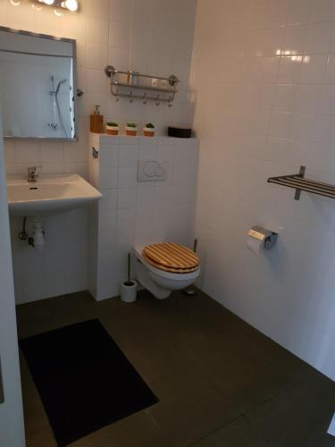 a bathroom with a toilet and a sink at The Romantic Waterloo Lion's suite in Braine-lʼAlleud