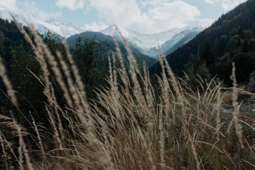 a field of tall grass with mountains in the background at Boutique Guesthouse „Domizil“, Valea Porumbacului in Porumbacu de Sus