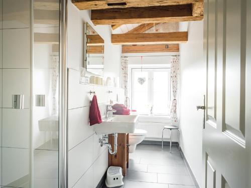 uma casa de banho com um lavatório e um WC em Gut Royum em Brodersby
