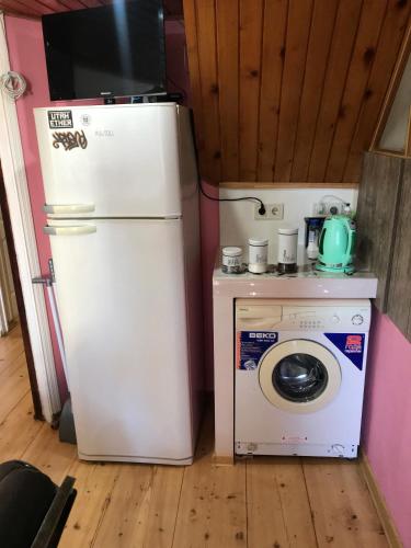 a kitchen with a refrigerator and a washing machine at Le Petit in Tbilisi City