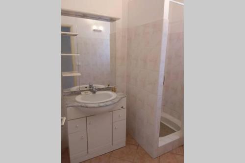 ein Bad mit einem Waschbecken und einer Dusche in der Unterkunft SCALEDDA1 in Porto-Vecchio