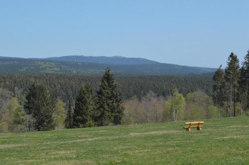 a wooden bench sitting on top of a green field at Villa Tannerhof in Braunlage