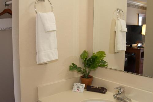 a bathroom with a sink and a mirror and a plant at Flagship Inn in Boothbay Harbor