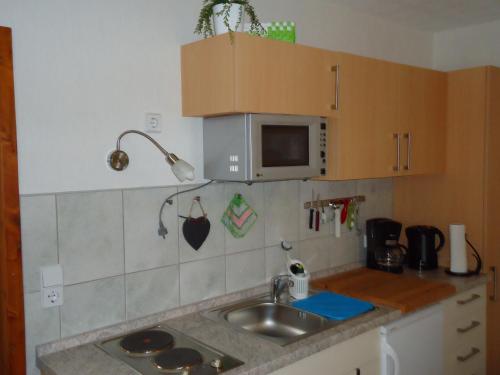 a kitchen with a sink and a microwave at Ferienwohnung Helmis in Bad Frankenhausen