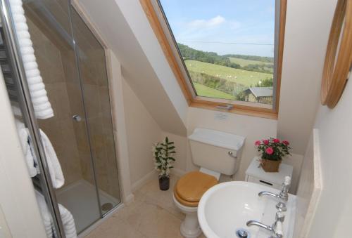 uma casa de banho com um chuveiro, um WC e uma janela. em Sheepscombe Byre em Snowshill