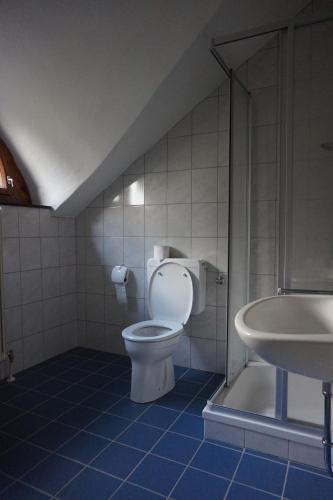 Phòng tắm tại Viehberghütte