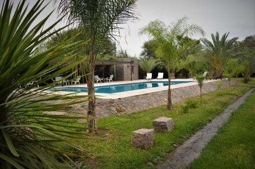 una piscina en un patio con palmeras en Posada del Olivo, en Nonogasta