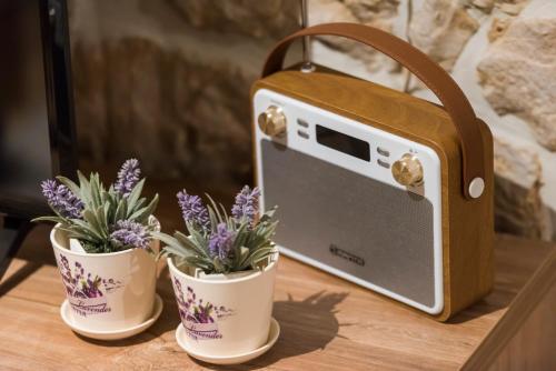 a table with three potted plants and a radio at Villa Kameni dvori in Sveti Filip i Jakov