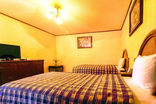 a hotel room with a bed and a tv at Hotel Lastra in Puebla