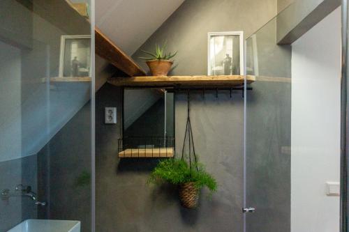 ein Bad mit einer Dusche und einem Regal mit Pflanzen in der Unterkunft B & B 'Droom in de polder de Suite met prive sauna in Arnemuiden