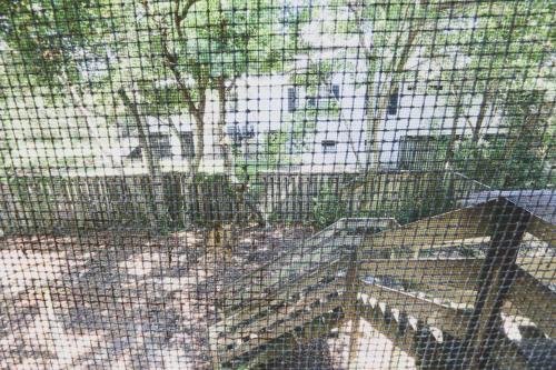 a wire fence with a dog behind it at Decked Out in Sullivans Island