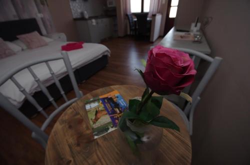 a rose in a vase on a table in a room at Guest House Romantika Panzio in Gyula