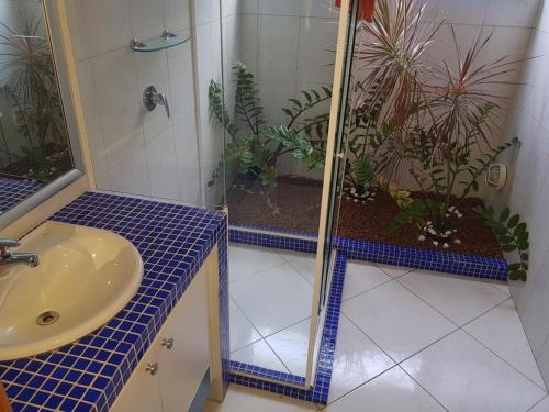 a bathroom with a sink and a shower with plants at B&B Villa Borromeo in Salvador