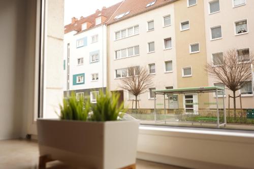 a window with a potted plant on a window sill at Vivo Apartments at Hospitals in Herne