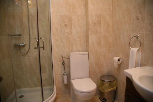 a bathroom with a toilet and a shower and a sink at Pensiunea Antique in Târgu Jiu