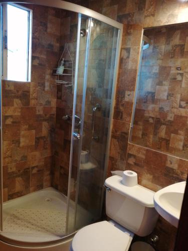 a bathroom with a shower and a toilet and a sink at HOTEL CASAGRANDE con estacionamiento EXCLUSIVO in Valdivia