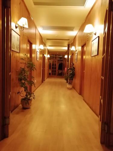 an empty hallway with potted plants in a building at HOTEL CASAGRANDE con estacionamiento EXCLUSIVO in Valdivia