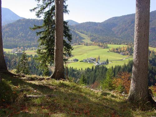 Naturlandschaft in der Nähe der Ferienwohnung