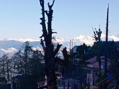 Gallery image of Little Singamari Home Stay in Darjeeling
