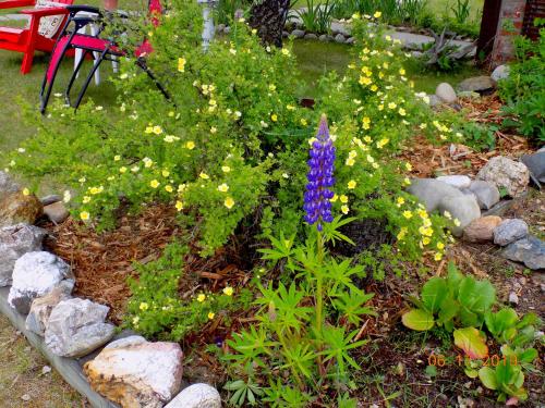 Rose Cottage Bed & Breakfast – Photos 3
