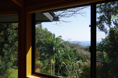 a window in a house looking out at a forest at Cottage Views in Yakushima