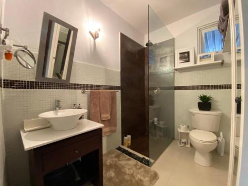 W łazience znajduje się umywalka, toaleta i prysznic. w obiekcie Relaxing Oasis with Pool heater and Cabana w mieście San Juan