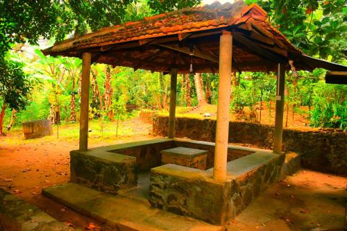 Taman di luar Jungle House