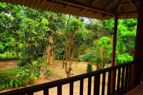 Taman di luar Jungle House