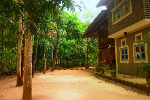 Taman di luar Jungle House