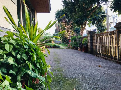 a large green plant on the side of a road at Chong Er Ya She Homestay in Jiji