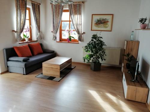 - un salon avec un canapé et une télévision dans l'établissement Ferienwohnung Michlwirt, à Bad Radkersburg